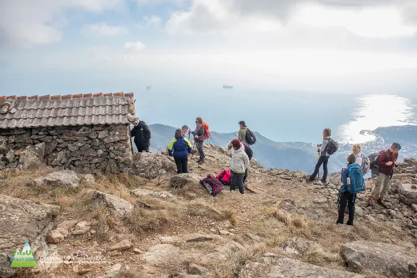 macchia mediterranea