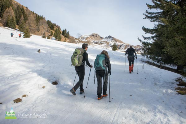 22 01 CampelliScalve 8152 600JPG