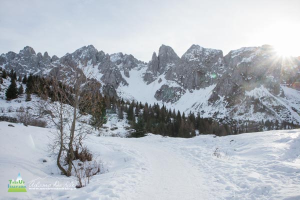 22 01 CampelliScalve 8155 600JPG