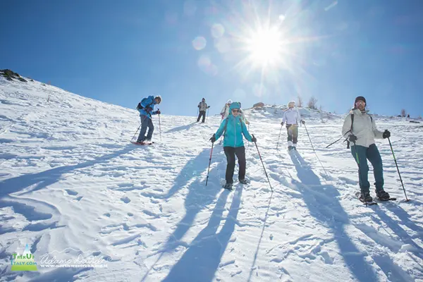 discesa con ciaspole