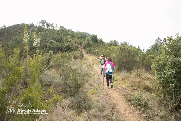 salita monte rossola