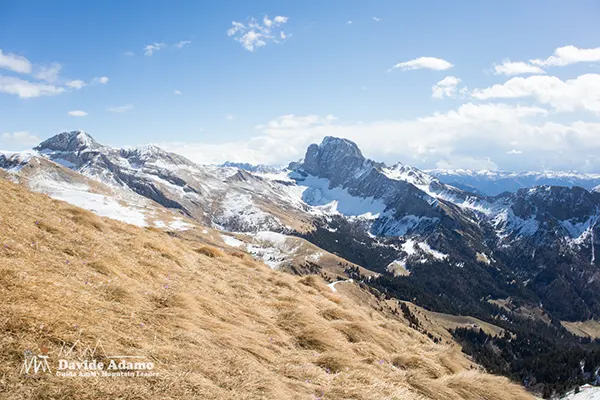 Presolana dal Monte Timogno