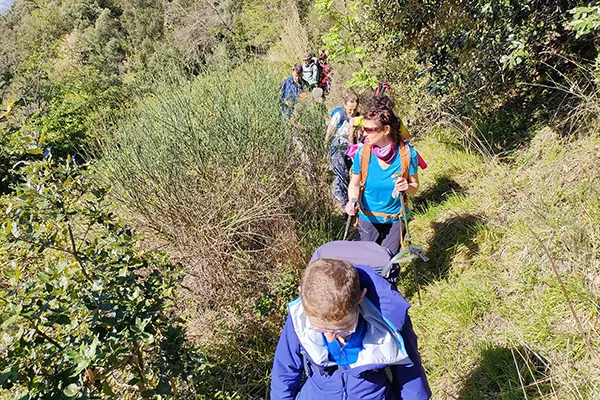 macchia mediterranea