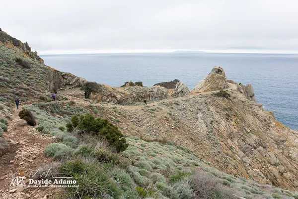 Capo Enfola escursione