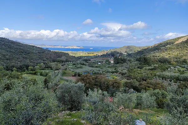 Escursione portoferraio