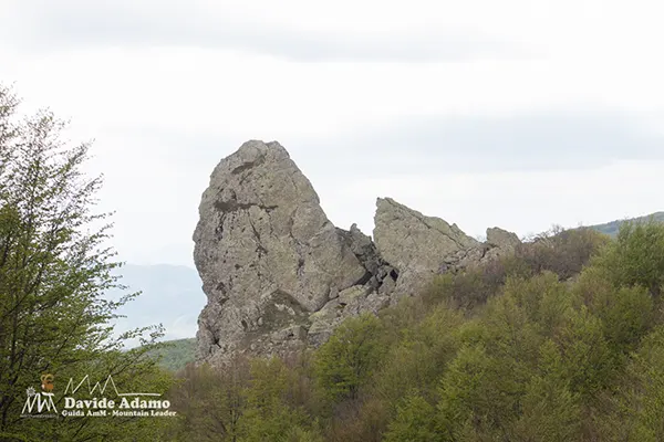 Dente cipolla escursione