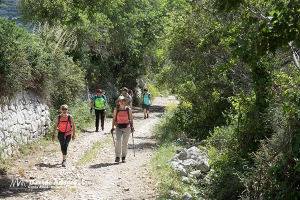 escursione ciccio pecora