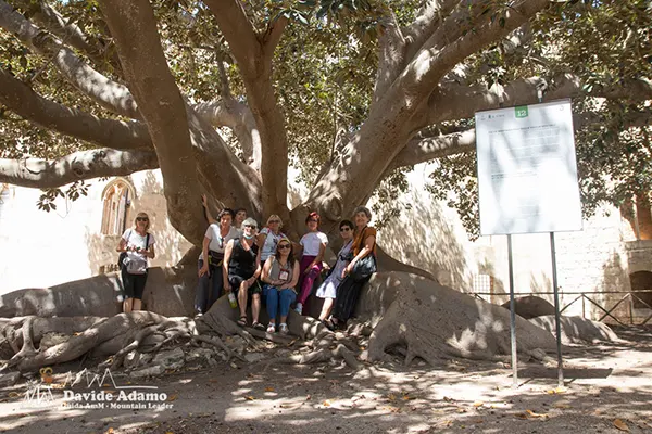 Castello donnafugata
