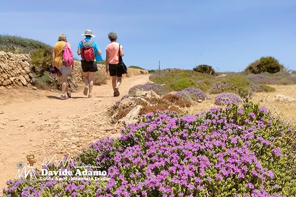 Vendicari escursione