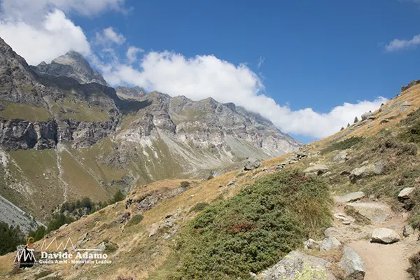 Tournalin e Roisetta