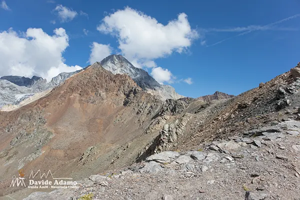 Gran Zebrù senza neve