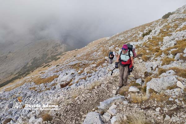 IMG20221015122310 600JPG