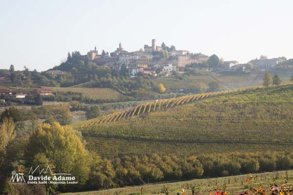 22 10 Langhe 2906 600JPG