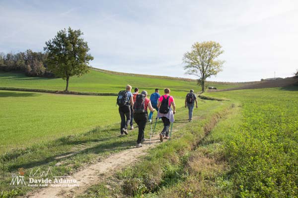 22 10 Langhe 2961 600JPG