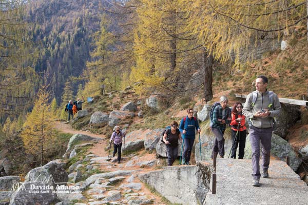 gruppo escursionismo