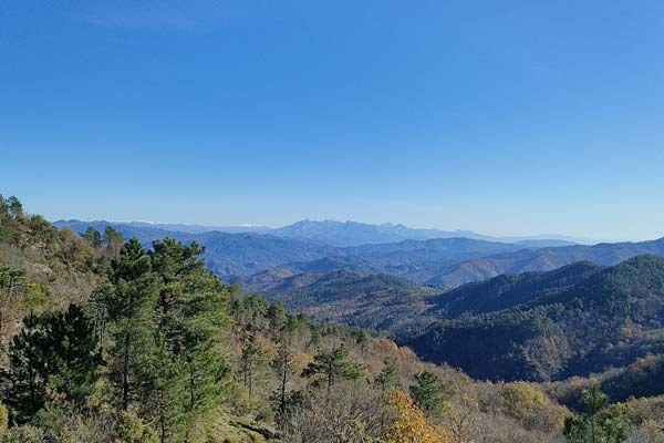 Panorama cima stronzi