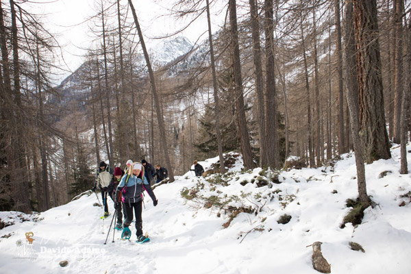 23 01 VerraLagoBlu 3674 600JPG