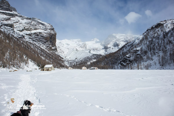 23 01 VerraLagoBlu 3688 600JPG