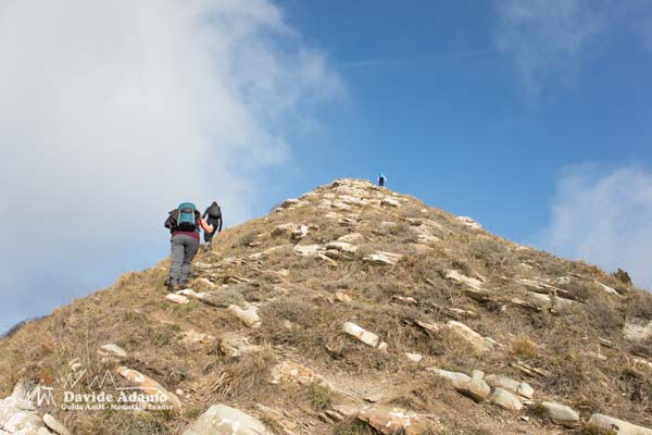 23 02 Alpesisa 3867 600JPG