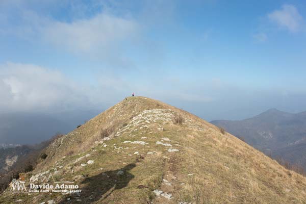 23 02 Alpesisa 3868 600JPG