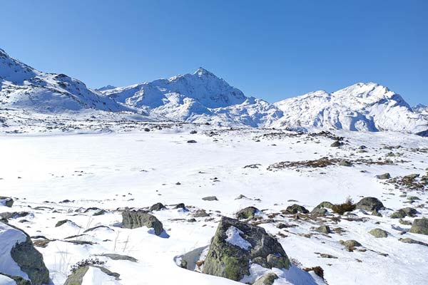 IMG20230212124216 600JPG