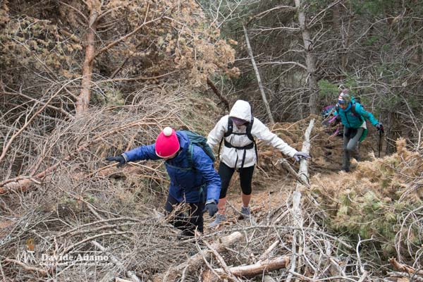 23 02 Berlinghera 4186 600JPG