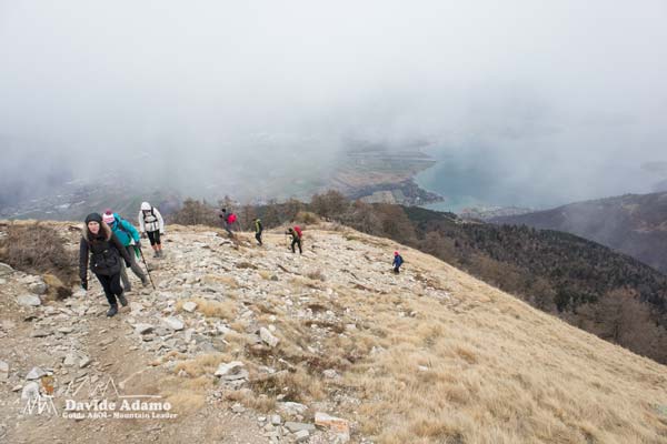 23 02 Berlinghera 4192 600JPG