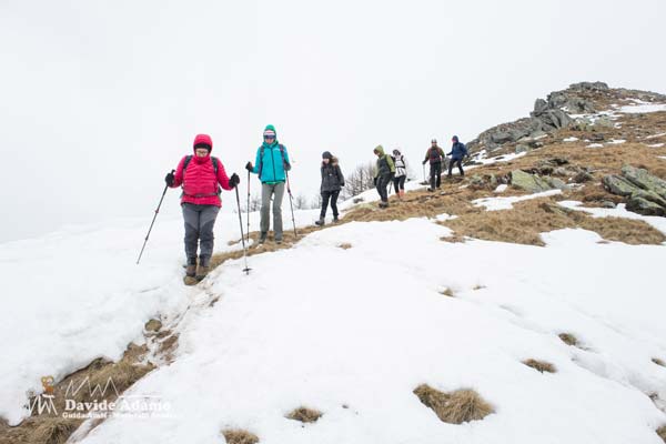 23 02 Berlinghera 4203 600JPG