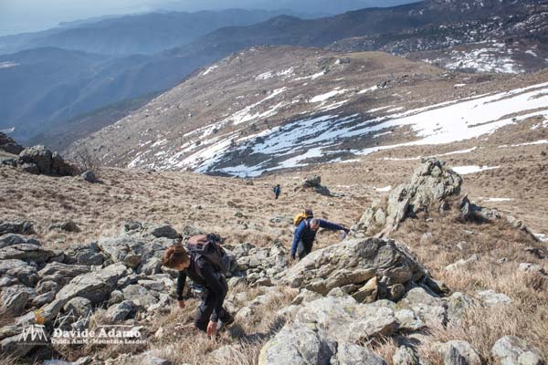 23 03 Sciguelo 4224 600JPG