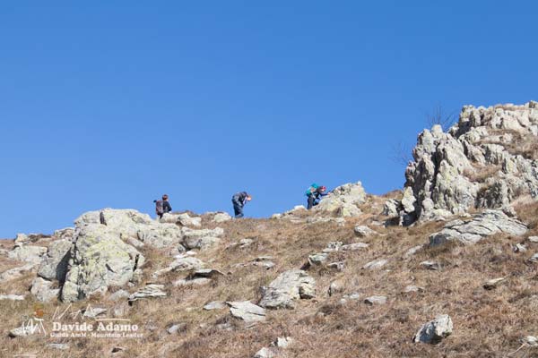 23 03 Sciguelo 4228 600JPG