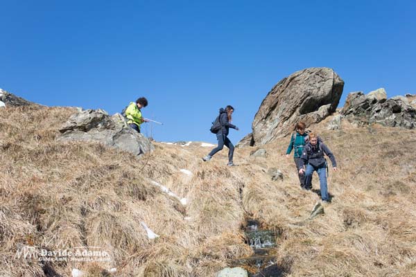 23 03 Sciguelo 4267 600JPG