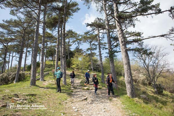 23 03 BogliascoSori 4446 600JPG