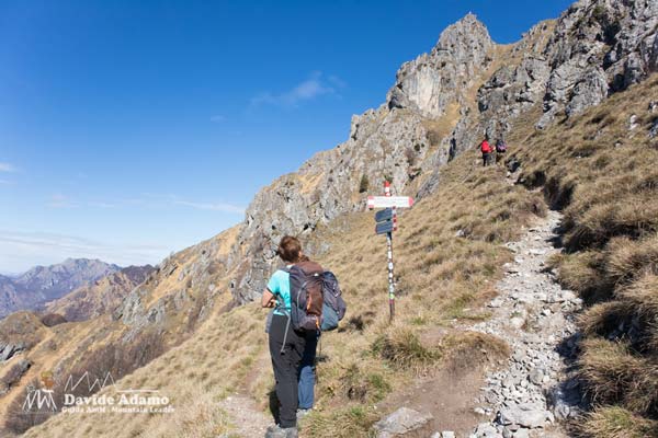 23 03 Grona 4453 600JPG