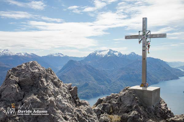 23 03 Grona 4478 600JPG