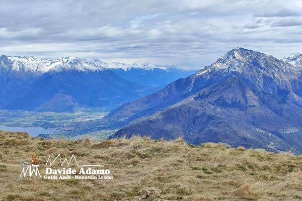 IMG20230415131607 600JPG