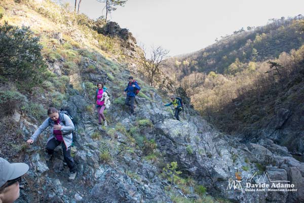 23 03 Gargassa 4496 600JPG