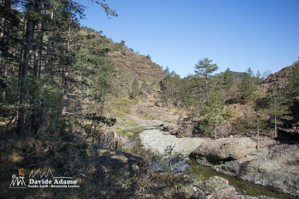 23 03 Gargassa 4509 600JPG