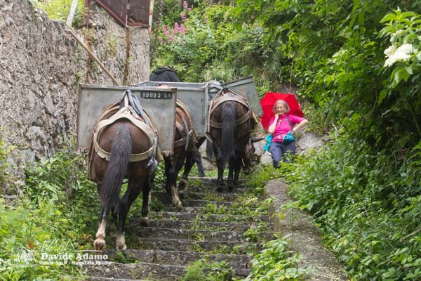 23 05 Amalfitana 5134 600JPG