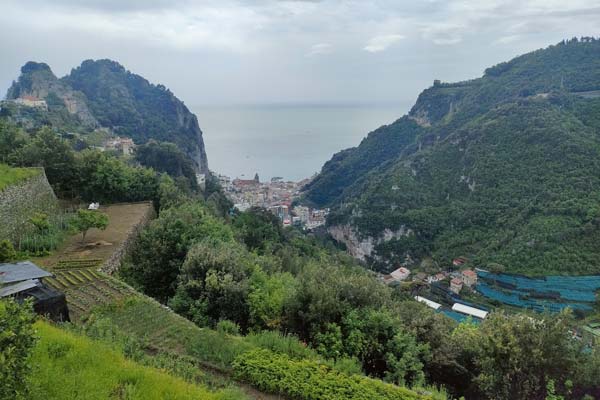 IMG20230513131122 600JPG