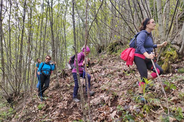 IMG20230514120034 600JPG