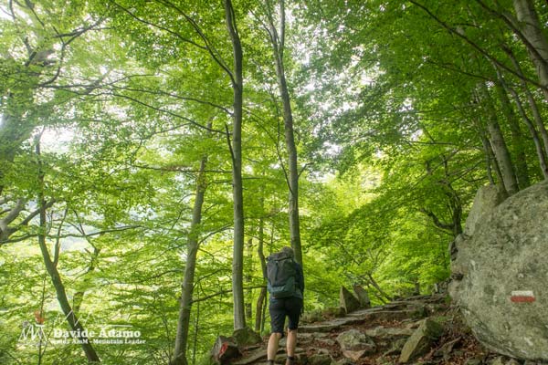 23 05 LagoVecchia 5233 600JPG