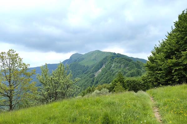 IMG20230602133540 600JPG