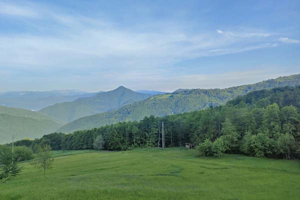 IMG20230602191929 600JPG