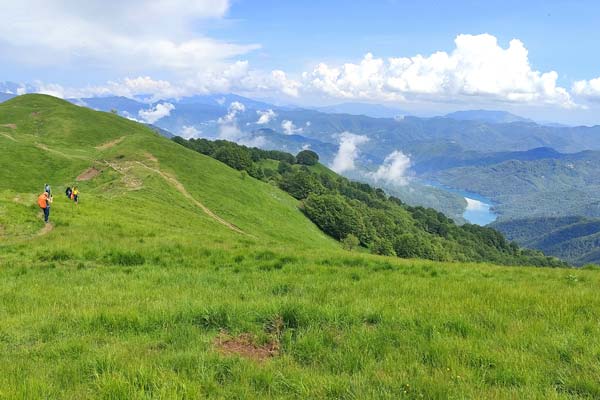 IMG20230603153531 600JPG