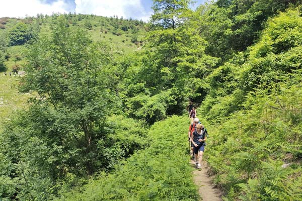 IMG20230604141027 600JPG