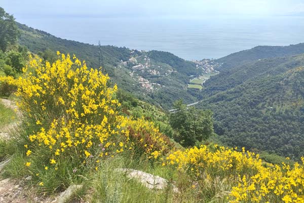 IMG20230604153309 600JPG