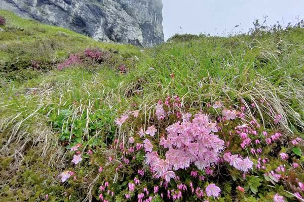 IMG20230610112705 600JPG