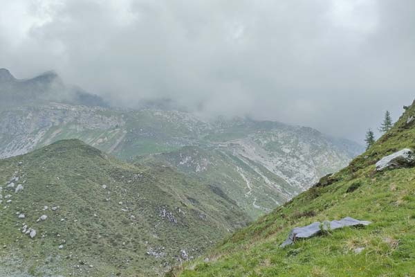 IMG20230610112859 600JPG