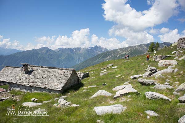 23 06 variola 5265 600JPG