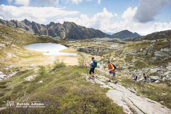 23 06 variola 5280 600JPG